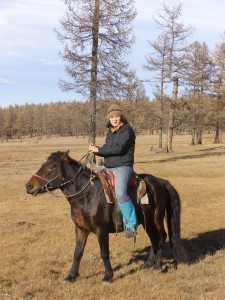 Mongolski konj