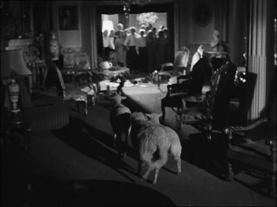 Luis Buñuel: Angel uničenja