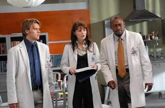 House: trojček diagnostične ekipe